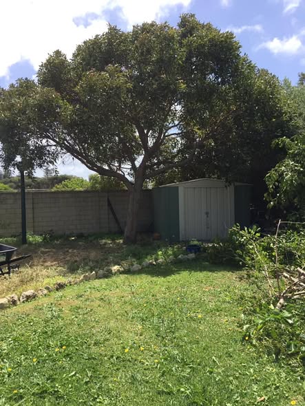 Turfing by SOLE Tree & Landscaping Service
