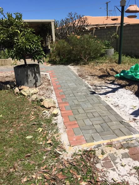 SOLE Tree & Landscaping work in South Brisbane