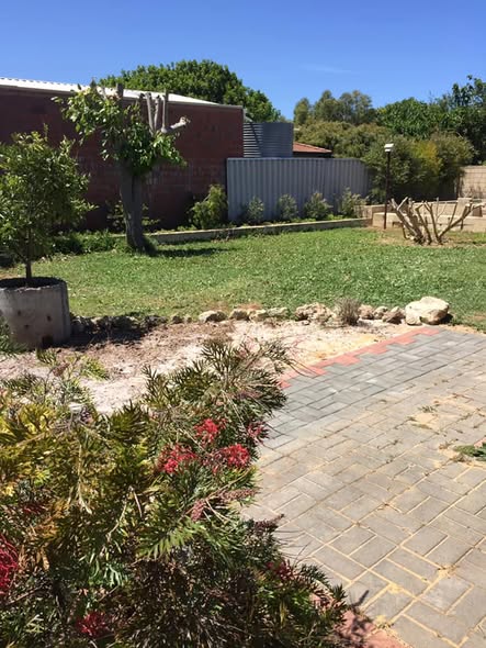 Finished paved path winding through a planted garden